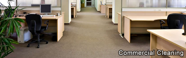Summit Cleaning Services has served North Lake Tahoe Businesses since 1985 with Commercial Carpet Cleaning