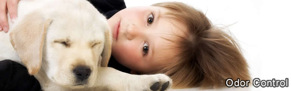 Summit Cleaning Services of Carson City - Natural Stone Cleaning and Sealing