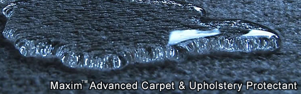 Summit Cleaning Services is Carson City's Carpet and Upholstery Protection Specialist!